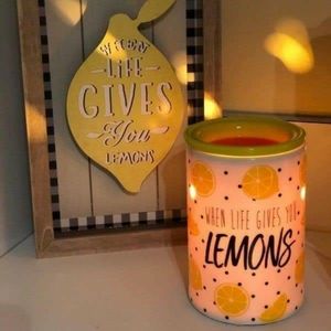 Scentsy wax warmer